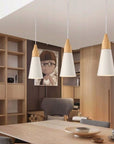 Lampa sufitowa SCANDI B APP059-1CP Szara