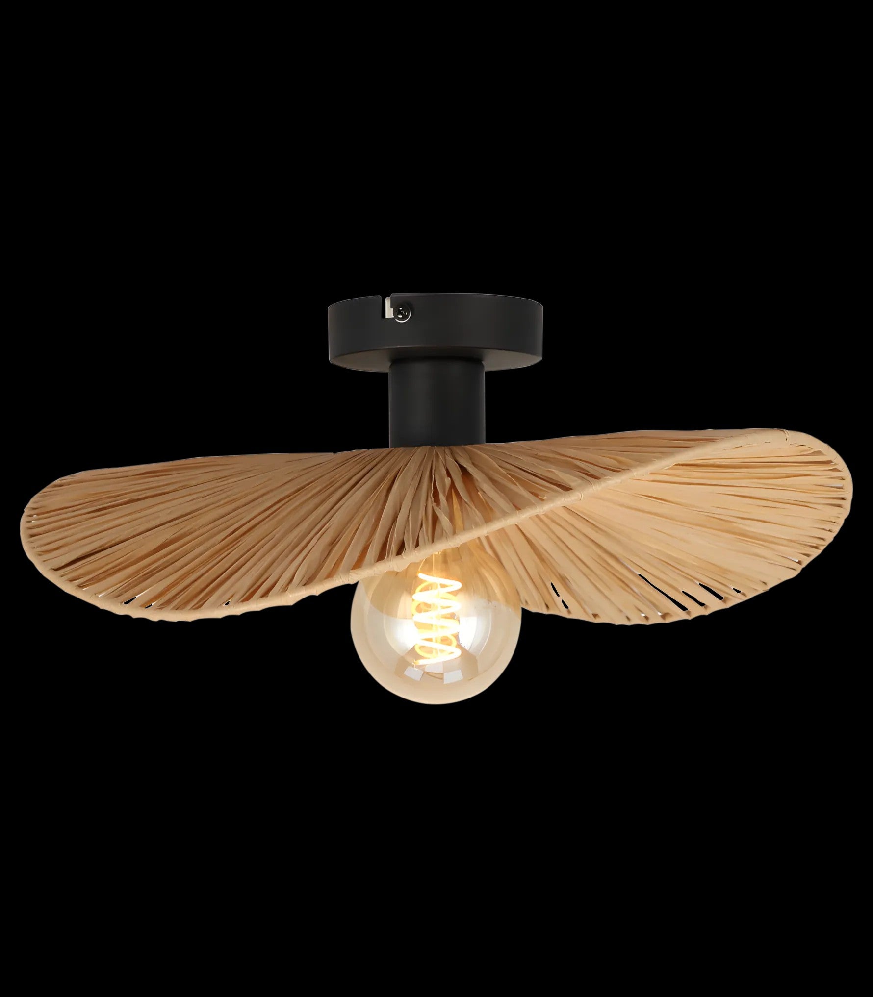LAMPA SUFITOWA APP1827-1CP NATURE BLACK 1