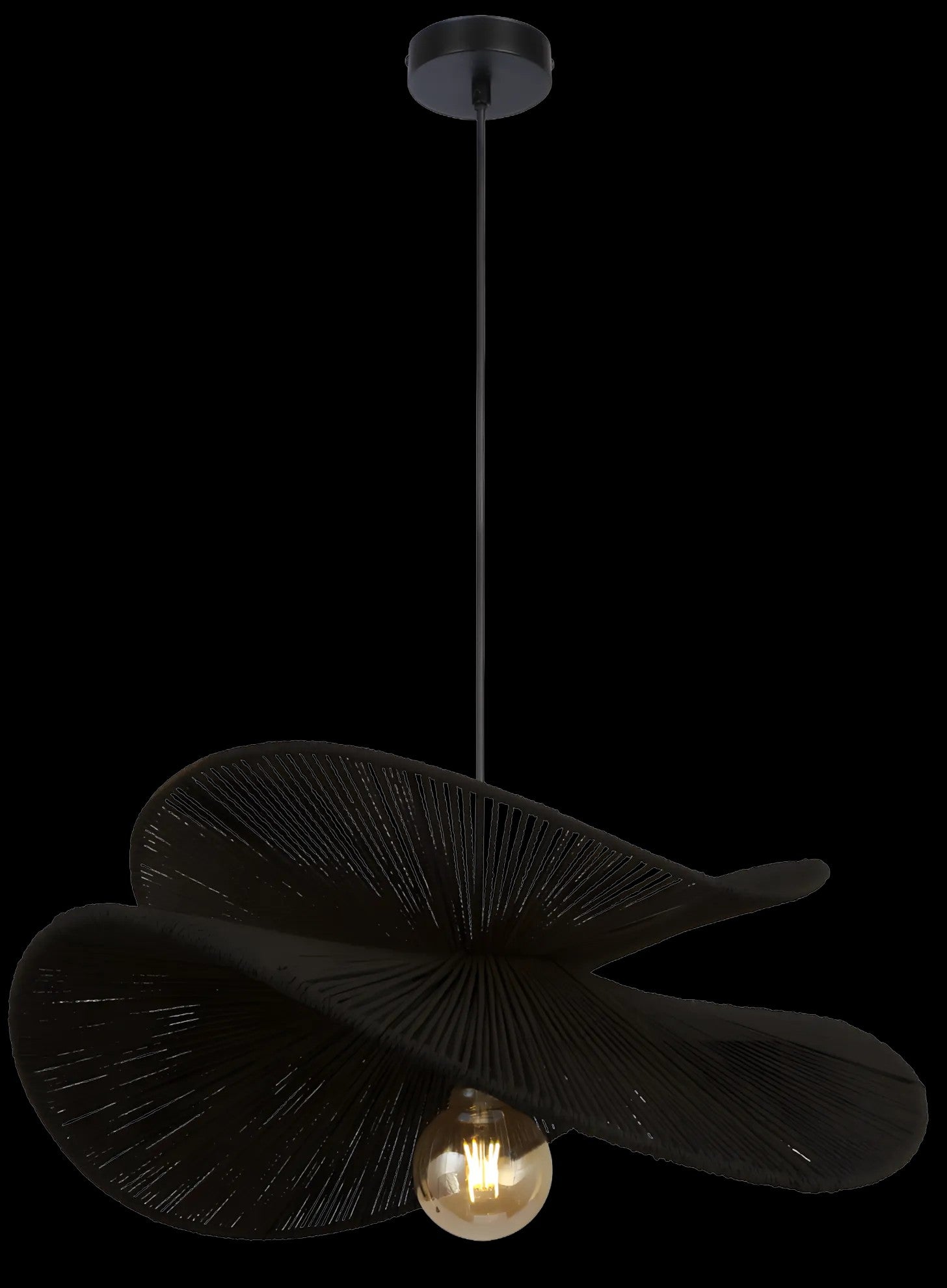 LAMPA SUFITOWA APP1833-1CP BLACK 1
