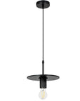 Lampa Wisząca APP1180-1CP 2