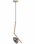 Lampa Wisząca APP1086-1CP 5
