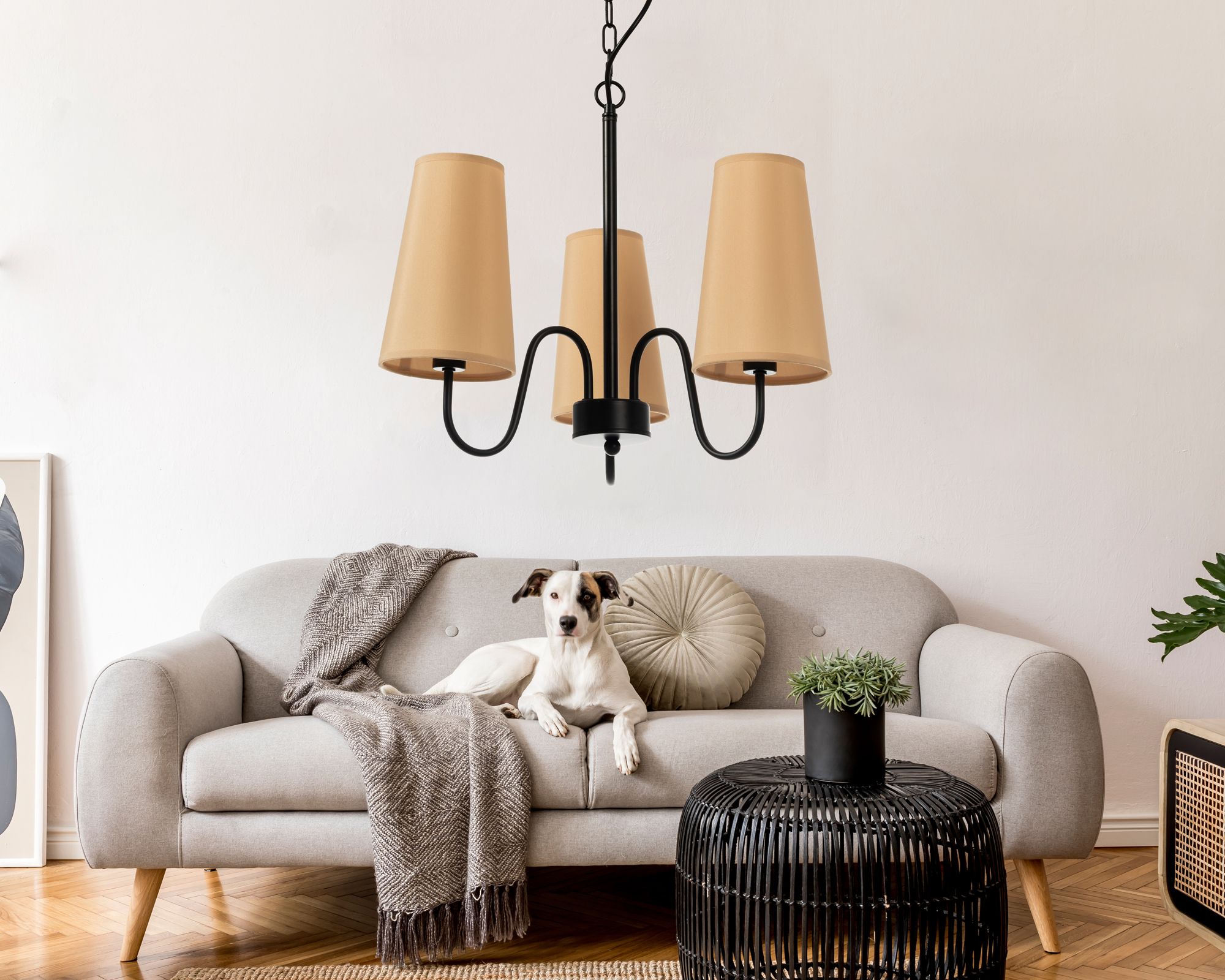 Lampa Wisząca Vintage APP720-3CP